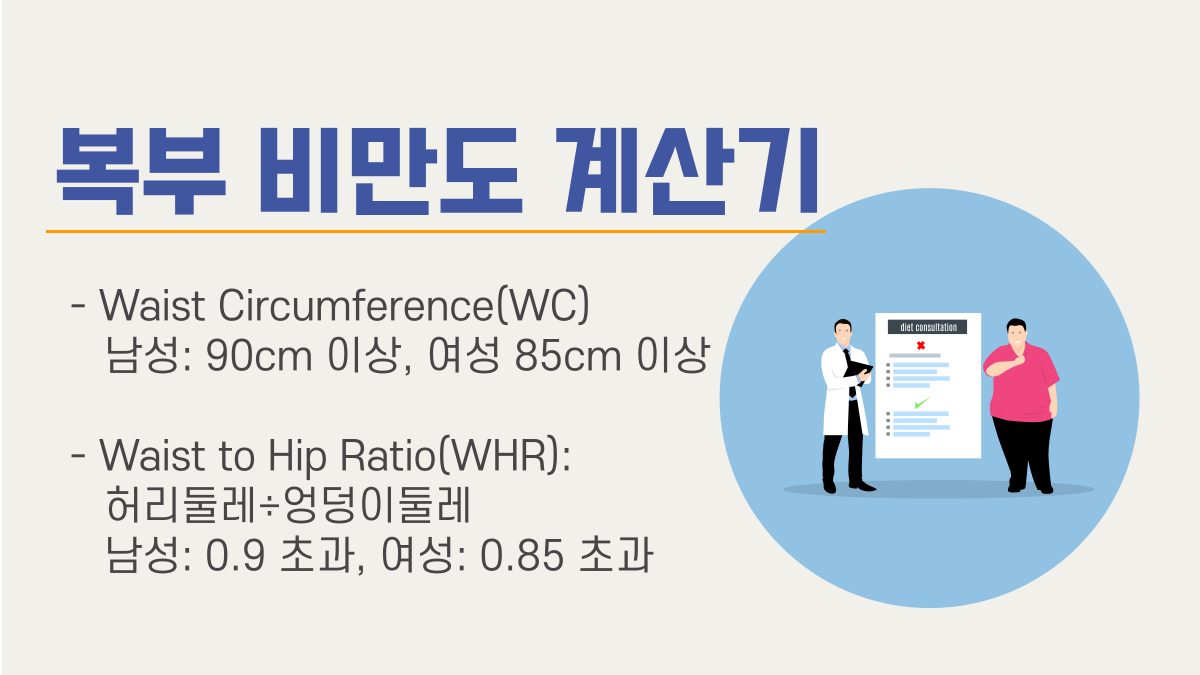 복부 비만도 계산기 | OurCalc